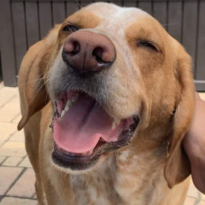 Meet your Posher, Rafael